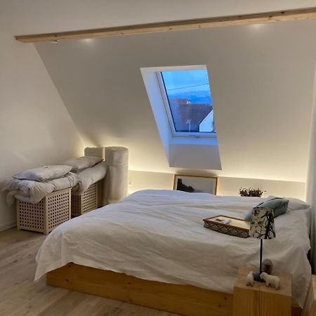 Ferienwohnung Neues Penthouse-Loft Mit Konuskarte Fuer Gratis Oepnv Ehrenkirchen Exterior foto