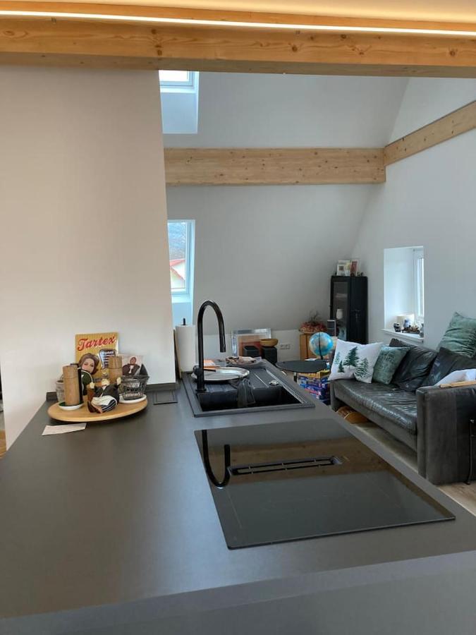 Ferienwohnung Neues Penthouse-Loft Mit Konuskarte Fuer Gratis Oepnv Ehrenkirchen Exterior foto