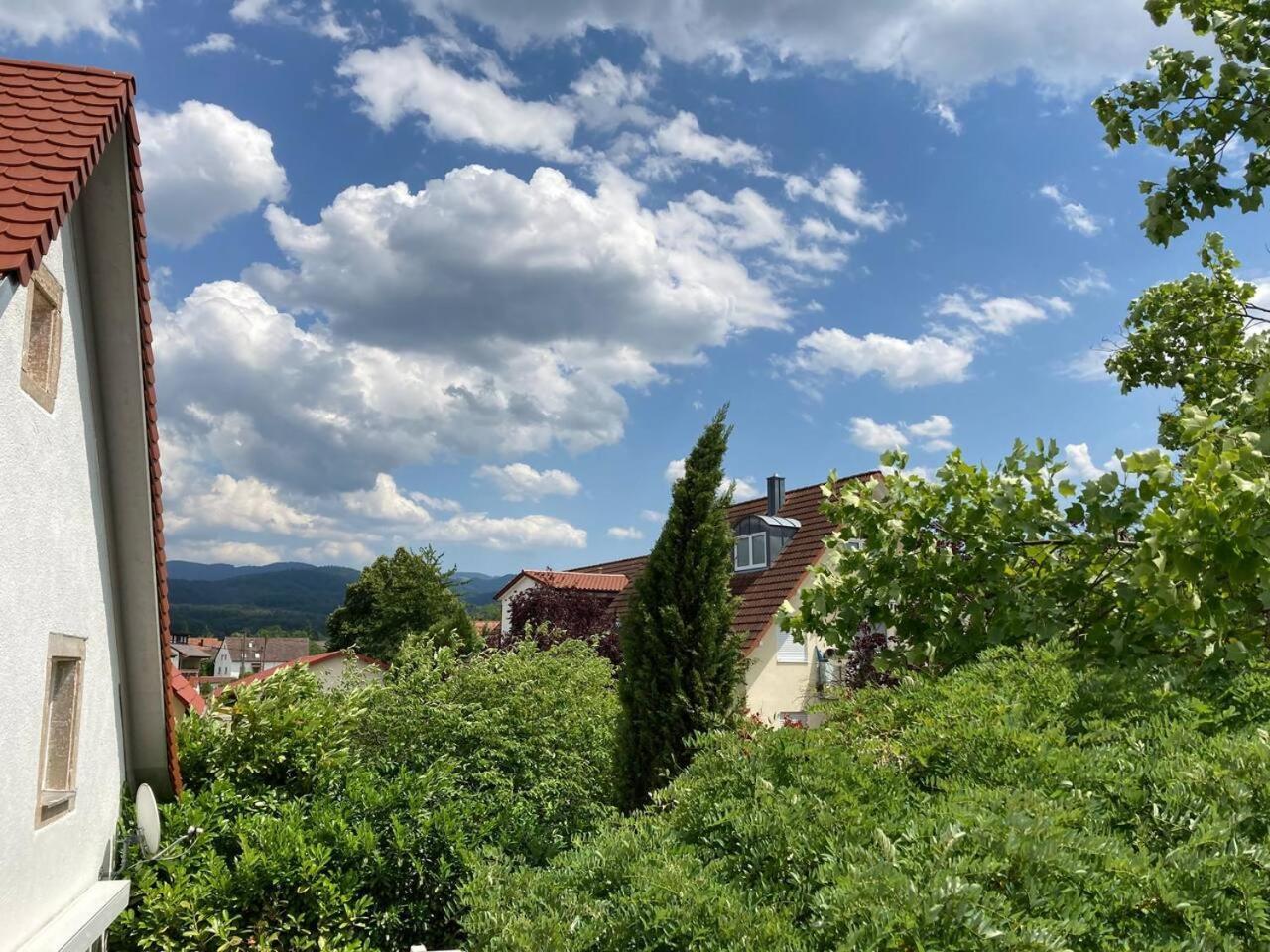 Ferienwohnung Neues Penthouse-Loft Mit Konuskarte Fuer Gratis Oepnv Ehrenkirchen Exterior foto