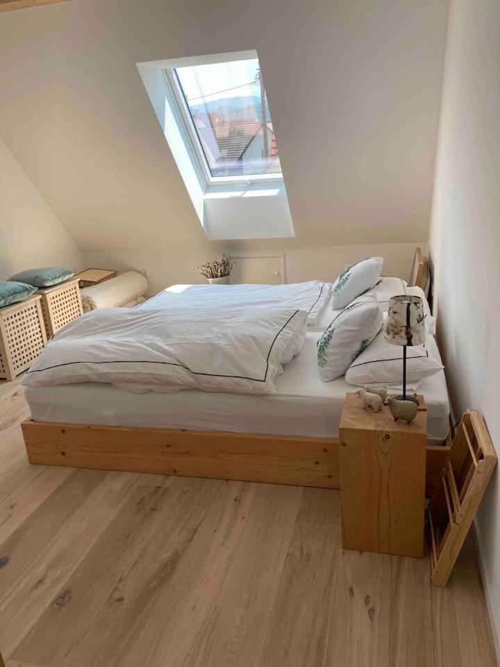 Ferienwohnung Neues Penthouse-Loft Mit Konuskarte Fuer Gratis Oepnv Ehrenkirchen Exterior foto