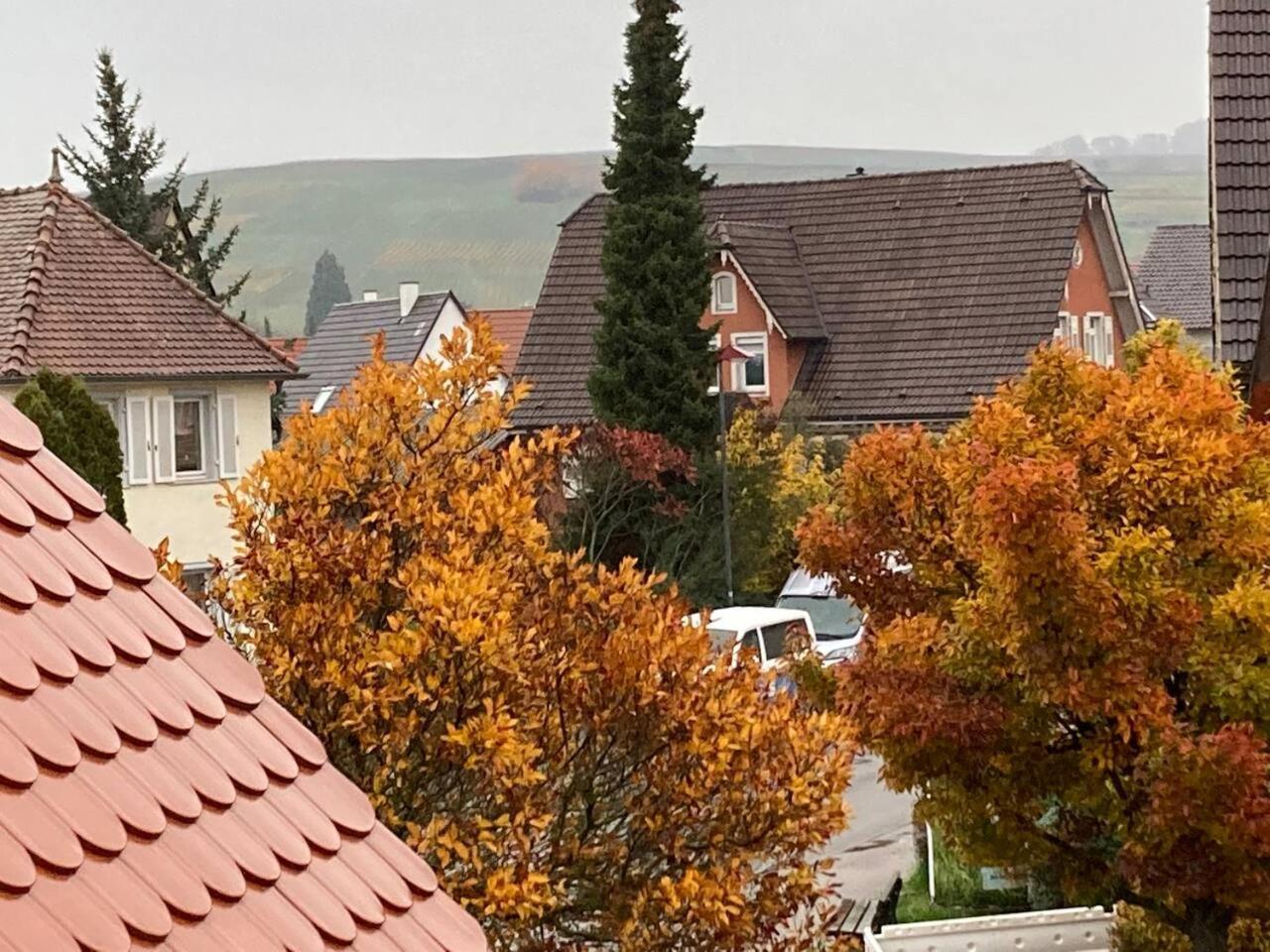 Ferienwohnung Neues Penthouse-Loft Mit Konuskarte Fuer Gratis Oepnv Ehrenkirchen Exterior foto